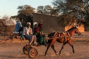 CHARRETTE ET VILLAGEOIS DE RETOUR DU TRAVAIL DES CHAMPS, VILLAGE TOUCOULEUR DE DEGUEMBERE, PROVINCE DE FANAYE DIERI, SENEGAL, AFRIQUE DE L'OUEST 