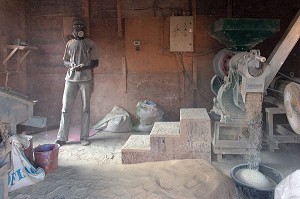 OUVRIER DANS LE BRUIT ET LA POUSSIERE, UNITE DE TRANSFORMATION DE RIZ DE QUALITE, DAGANA, SENEGAL, AFRIQUE DE L'OUEST 