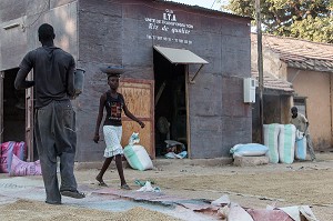 UNITE DE TRANSFORMATION DE RIZ DE QUALITE, DAGANA, SENEGAL, AFRIQUE DE L'OUEST 