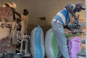 PREPARATION DES SACS DE RIZ A LA SORTIE DE LA MACHINE A DECORTIQUER, UNITE DE TRANSFORMATION DE RIZ DE QUALITE, DAGANA, SENEGAL, AFRIQUE DE L'OUEST 