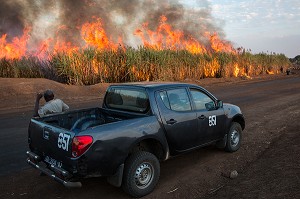 OUVRIER DE L'ENTREPRISE EN SURVEILLANCE D'UN BRULAGE DE CHAMPS DE CANNE A SUCRE, COMPAGNIE SUCRIERE SENEGALAISE, RICHARD-TOLL, SENEGAL, AFRIQUE DE L'OUEST 