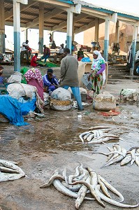 MARCHE AUX POISSONS, GUET NDAR, QUARTIER DU VILLAGE DES PECHEURS AVEC LES PIROGUES COLOREES, SAINT-LOUIS-DU-SENEGAL, SENEGAL, AFRIQUE DE L'OUEST 