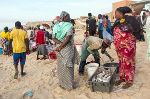VENTE DE POISSONS SUR LA PLAGE, GUET NDAR, QUARTIER DU VILLAGE DES PECHEURS AVEC LES PIROGUES COLOREES, SAINT-LOUIS-DU-SENEGAL, SENEGAL, AFRIQUE DE L'OUEST 