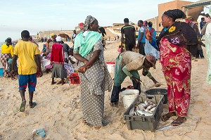 VENTE DE POISSONS SUR LA PLAGE, GUET NDAR, QUARTIER DU VILLAGE DES PECHEURS AVEC LES PIROGUES COLOREES, SAINT-LOUIS-DU-SENEGAL, SENEGAL, AFRIQUE DE L'OUEST 