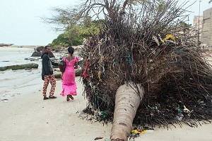 COCOTIER DERACINES SUR LA PLAGE, PETIT VILLAGE AU BORD DE L'EAU PRES DU PHARE DE GANDIOLE ENVAHI PAR LA MONTEE DES EAUX DEPUIS LE PERCEMENT DE LA LANGUE DE BARBARIE, SENEGAL, AFRIQUE DE L'OUEST 