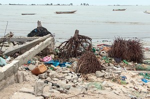 COCOTIER DERACINES SUR LA PLAGE ET MUR DE LA MOSQUEE DETRUITE, PETIT VILLAGE AU BORD DE L'EAU PRES DU PHARE DE GANDIOLE ENVAHI PAR LA MONTEE DES EAUX DEPUIS LE PERCEMENT DE LA LANGUE DE BARBARIE, SENEGAL, AFRIQUE DE L'OUEST 