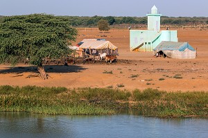 VILLAGE DE NOMADES MAURITANIEN (TENTES ET BETAIL EN TRANSIT) ET MOSQUEE SUR LES BERGES DU FLEUVE SENEGAL, REGION DE GOUREL BAKAR SY, MAURITANIE, AFRIQUE DE L'OUEST 