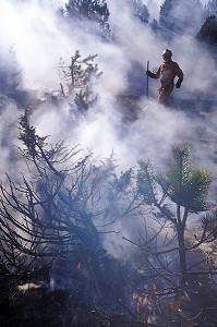 POMPIERS FORESTIERS EN INTERVENTION DANS LA FUMEE DES BRULAGES DIRIGES, ECOBUAGES DANS LES PYRENEES-ATLANTIQUES (64), FRANCE 