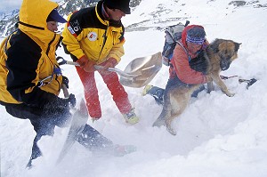 QUAND LE CHIEN A MARQUE L'ENDROIT, LES SAUVETEURS CREUSENT LA NEIGE AVEC DES PELLES POUR SORTIR LA VICTIME AU PLUS VITE, SECOURS EN MONTAGNE, RECHERCHE DE VICTIMES EN AVALANCHE, MASSIF DU MONT-BLANC, HAUTE-SAVOIE (74), FRANCE 