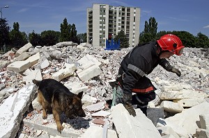 EQUIPE CYNOPHILE DES SAPEURS-POMPIERS DU SDIS DU CHER EN ENTRAINEMENT DE RECHERCHE DE VICTIME, BOURGES (18), FRANCE 