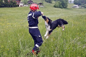 RECOMPENSE DU CHIEN PAR UNE SEANCE DE JEU APRES AVOIR RETROUVE UNE PERSONNE PRISONNIERE DE DECOMBRES PAR SUITE D'UN EFFONDREMENT PARTIEL, ENTRAINEMENT DU GROUPE DE SAUVETAGE DEBLAIEMENT DES SAPEURS-POMPIERS, ABONDANCE, HAUTE-SAVOIE (74), FRANCE 