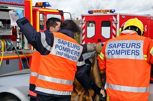 MISE EN PLACE D'UNE PERFUSION SUR LA VICTIME PAR UN SAPEUR-POMPIER INFIRMIER, INTERVENTION SUR UN ACCIDENT DE LA ROUTE, CENTRE DE SECOURS DE CHANTONNAY, VENDEE (85), FRANCE 