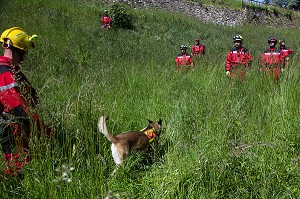 EQUIPE CYNOPHILE A LA RECHERCHE DE VICTIMES, STAGE DE CHEF DE SECTION SDE3 ECASC, SITE DU CHATEAU DE BLAIN, LOIRE-ATLANTIQUE (44), FRANCE 