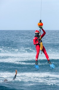 HELITREUILLAGE EN MER DU SAUVETEUR HELICO (SH) AUPRES DE LA VICTIME AVEC SA BRASSIERE DE HISSAGE, SECOURS HELIPORTES AVEC L'HELICOPTERE DRAGON 972 DE LA SECURITE CIVILE, MARTINIQUE, FRANCE 