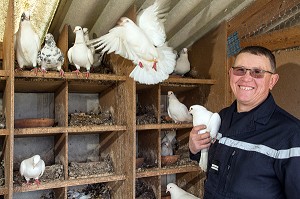 LIEUTENANT FABRICE GOURAUD, ELEVEUR DE PIGEONS, SAPEUR-POMPIER VOLONTAIRE, CHEF DE CENTRE DE SECOURS DE SAINTE-CECILE, VENDEE (85), FRANCE 