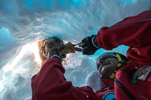 BERGER BELGE MALINOIS AU GRATTAGE A LA DECOUVERTE DE LA VICTIME, REPORTAGE SUR LES MAITRES-CHIENS D'AVALANCHE, FORMATION ORGANISEE PAR L'ANENA AVEC L'AGREMENT DE LA SECURITE CIVILE, LES-DEUX-ALPES (38), FRANCE 