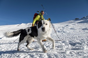 LES MAITRES-CHIENS D'AVALANCHE, FORMATION ORGANISEE PAR L'ANENA AVEC L'AGREMENT DE LA SECURITE CIVILE, LES-DEUX-ALPES (38), FRANCE 