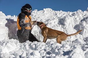 RECOMPENSE DU CHIEN BERGER BELGE MALINOIS APRES LA DECOUVERTE DE LA VICTIME, REPORTAGE SUR LES MAITRES-CHIENS D'AVALANCHE, FORMATION ORGANISEE PAR L'ANENA AVEC L'AGREMENT DE LA SECURITE CIVILE, LES-DEUX-ALPES (38), FRANCE 