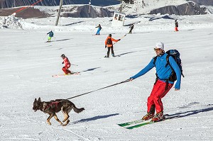 CHESNEAU NICOLAS DU SDIS 64 AVEC SON CHIEN LASKA BERGER ALLEMAND EN DEPLACEMENT SKI, REPORTAGE SUR LES MAITRES-CHIENS D'AVALANCHE, FORMATION ORGANISEE PAR L'ANENA AVEC L'AGREMENT DE LA SECURITE CIVILE, LES-DEUX-ALPES (38), FRANCE 