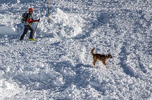 ALONSO DE SOUSA DAVID AVEC SON BORDER COLLIE DE 2 ANS EN RECHERCHE DE VICTIMES, REPORTAGE SUR LES MAITRES-CHIENS D'AVALANCHE, FORMATION ORGANISEE PAR L'ANENA AVEC L'AGREMENT DE LA SECURITE CIVILE, LES-DEUX-ALPES (38), FRANCE 