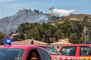 FEU DE GARRIGUE SUR LA COMMUNE D'ALATA PRES D'AJACCIO, CORSE-DU-SUD, FRANCE 