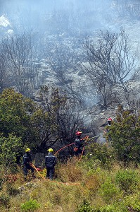 SAPEURS-POMPIERS A L'ATTAQUE SUR UN FEU DE GARRIGUE SUR LA COMMUNE D'ALATA PRES D'AJACCIO, CORSE-DU-SUD, FRANCE 