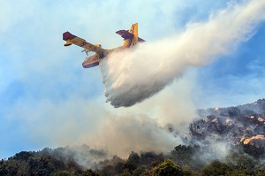 FEU DE GARRIGUE SUR LA COMMUNE D'ALATA PRES D'AJACCIO, CORSE-DU-SUD, FRANCE 