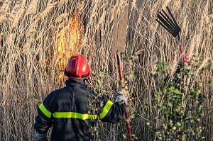 SAPEUR-POMPIER EN TRAIN D'ETEINDRE UN FEU DE BROUSSAILLES (ROSEAUX) AVEC DES BATTES A FEU, SAPEURS-POMPIERS PRINCIPAL DU CENTRE DE SECOURS DE CHAMBERY, LES MARCHES, SAVOIE (73), FRANCE 