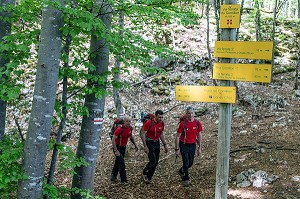 MARCHE D'APPROCHE POUR UNE INTERVENTION DE L'EQUIPE DE SECOURS EN MONTAGNE POUR UNE CHUTE SUR LA VIA FERRATA DU ROCHER DU CORNILLON AU DESSUS DU LAC DU BOURGET, LA CHAPELLE DU MONT-DU-CHAT (73), FRANCE 
