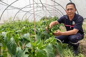 SAPEUR-POMPIER VOLONTAIRE HMONG, AGRICULTEUR SOUS SES SERRES, CENTRE DE SECOURS DE CACAO, GUYANE FRANCAISE, DEPARTEMENT-REGION D'OUTRE-MER, AMERIQUE DU SUD, FRANCE