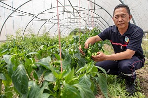 SAPEUR-POMPIER VOLONTAIRE HMONG, AGRICULTEUR SOUS SES SERRES, CENTRE DE SECOURS DE CACAO, GUYANE FRANCAISE, DEPARTEMENT-REGION D'OUTRE-MER, AMERIQUE DU SUD, FRANCE