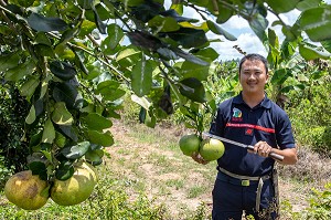 SAPEUR-POMPIER VOLONTAIRE HMONG, AGRICULTEUR DANS SON CHAMP D'AGRUMES, CENTRE DE SECOURS DE CACAO, GUYANE FRANCAISE, DEPARTEMENT-REGION D'OUTRE-MER, AMERIQUE DU SUD, FRANCE 