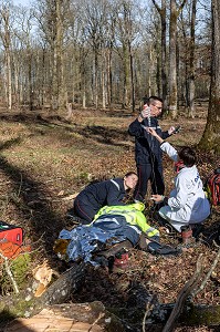 SECOURS AVEC LES SAPEURS-POMPIERS ET LE SAMU POUR UN JEUNE BUCHERON QUI A RECU UN ARBRE SUR LA TETE DANS LA FORET, ALENCON (61), FRANCE 