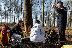 SECOURS AVEC LES SAPEURS-POMPIERS ET LE SAMU POUR UN JEUNE BUCHERON QUI A RECU UN ARBRE SUR LA TETE DANS LA FORET, ALENCON (61), FRANCE 
