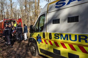 SECOURS AVEC LES SAPEURS-POMPIERS ET LE SAMU POUR UN JEUNE BUCHERON QUI A RECU UN ARBRE SUR LA TETE DANS LA FORET, ALENCON (61), FRANCE 