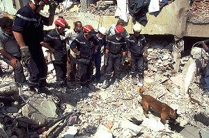 RECHERCHE DE VICTIMES ENSEVELLIES SOUS LES DECOMBRES, TREMBLEMENT DE TERRE EN TURQUIE, GOLCUK 1999  