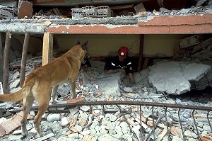 RECHERCHE DE VICTIMES ENSEVELLIES SOUS LES DECOMBRES, TREMBLEMENT DE TERRE EN TURQUIE, GOLCUK 1999 