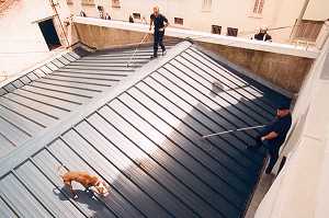 CAPTURE D'UN CHIEN DANGEREUX, PITBULL PAR L'EQUIPE CYNOTECHNIQUE DE LA BRIGADE DES SAPEURS-POMPIERS DE PARIS 