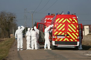 PRELEVEMENT DE VEGETAUX, TENUE DE PROTECTION RADIOLOGIQUE, RECHERCHE DE SOURCE RADIOLOGIQUE, EXERCICE NATIONAL DE SECURITE CIVILE A LA CENTRALE NUCLEAIRE DE BELLEVILLE SUR LOIRE, MISE EN OEUVRE D'UN PLAN PARTICULIER D'INTERVENTION (PPI), CHER (18), FRANCE 