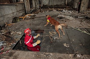 RECHERCHE DE PERSONNES DISPARUES SOUS DES DECOMBRES PAR UN CHIEN, EQUIPE CYNOPHILE, EXERCICE SEISME 'RICHTER 38', VILLARD BONNOT, ISERE (38) 