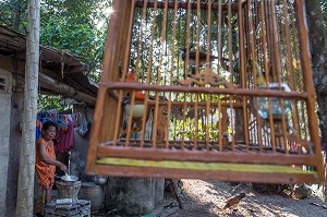 LA GRAND-MERE DE EARTH ET LA CAGE POUR L'OISEAU A HUPETTE (BULBUL ORPHEE), FILS DE PECHEUR, ENFANT DE LA TERRE, BAN SAPHAN, THAILANDE, SERIE ENFANT DU MONDE 