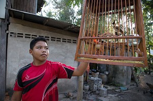 EARTH DEVANT LA CAGE DE SON OISEAU A HUPETTE (BULBUL ORPHEE), FILS DE PECHEUR, ENFANT DE LA TERRE, BAN SAPHAN, THAILANDE, SERIE ENFANT DU MONDE 