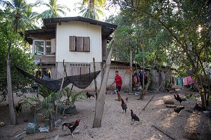 EARTH DEVANT SA MAISON AVEC LES POULES, FILS DE PECHEUR, ENFANT DE LA TERRE, BAN SAPHAN, THAILANDE, SERIE ENFANT DU MONDE 