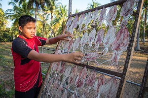 EARTH AU TRAVAIL, TRI ET SECHAGE DES CALAMARS, FILS DE PECHEUR, ENFANT DE LA TERRE, BAN SAPHAN, THAILANDE, SERIE ENFANT DU MONDE 