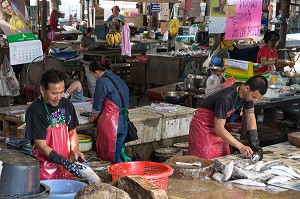 PREPARATION DES POISSONS SUR LE STAND DES POISSONNIERS, MARCHE DE BANG SAPHAN, THAILANDE, ASIE 