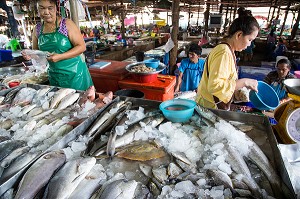 LES FEMMES SUR STAND DES POISSONNIERS, MARCHE DE BANG SAPHAN, THAILANDE, ASIE 