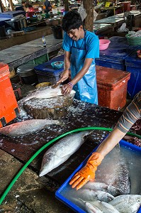 PREPARATION DES POISSONS SUR LE STAND DES POISSONNIERS, MARCHE DE BANG SAPHAN, THAILANDE, ASIE 