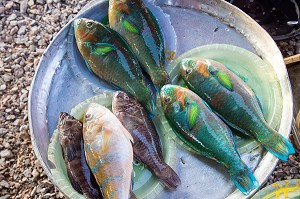 STAND DE POISSONS TROPICAUX AUX MULTIPLES COULEURS, MARCHE DE NUIT, BANG SAPHAN, THAILANDE, ASIE 