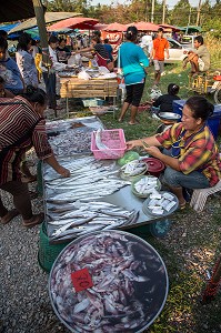 VENDEUSE DE POISSONS TROPICAUX TRES COLORES, MARCHE DE NUIT, BANG SAPHAN, THAILANDE, ASIE 