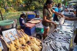 VENTE DE POULETS ET DE POISSONS, MARCHE DE NUIT, BANG SAPHAN, THAILANDE, ASIE 